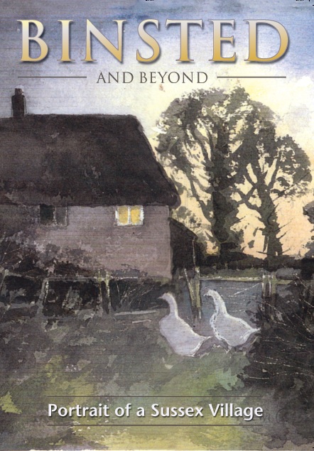 Binsted and Beyond book cover image