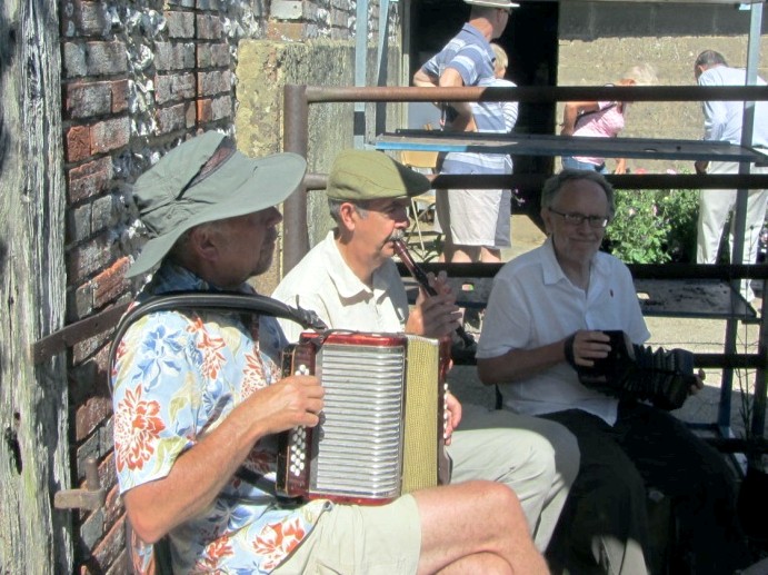 strawberry fair folk musicians